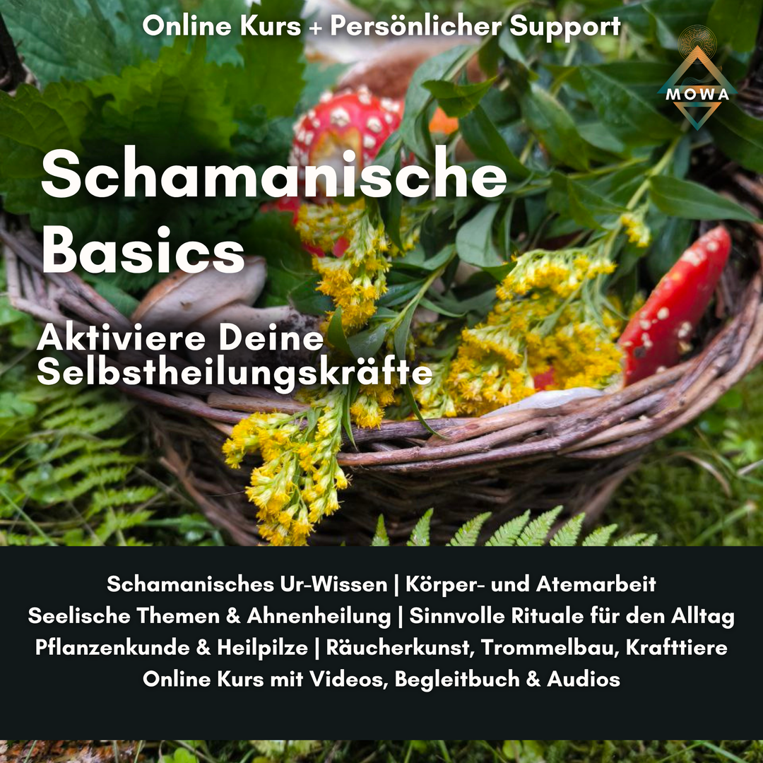 Kurscover Schamanische Basics