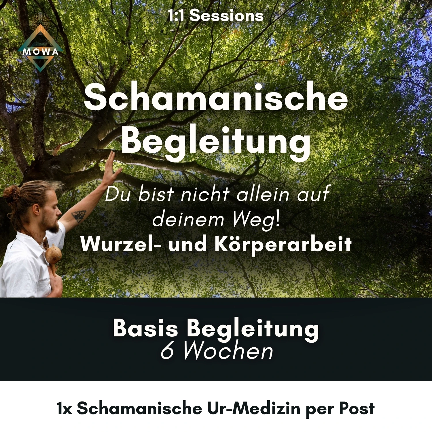 Cover Schamanische Begleitung Basis Begleitung 6 Wochen Wurzel- und Körperarbeit